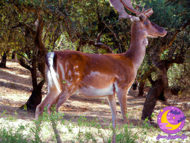 Significado De Soñar Con Un Bambi