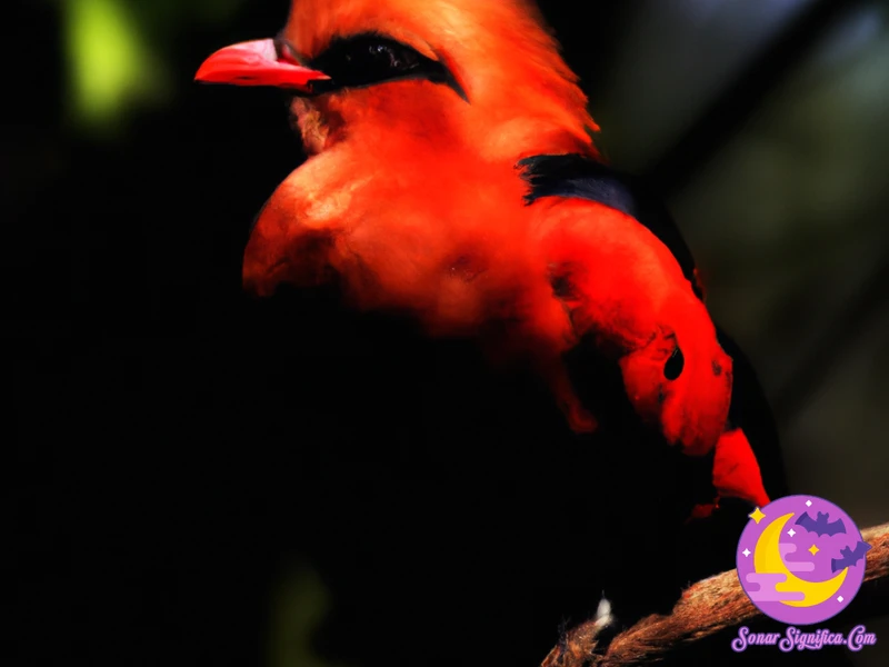 Interpretaciones De Soñar Con Un Pájaro Rojo